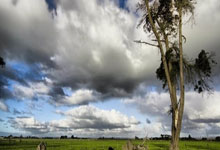 国米六球狂胜拉齐奥 意甲积分直逼领头羊亚特兰大.